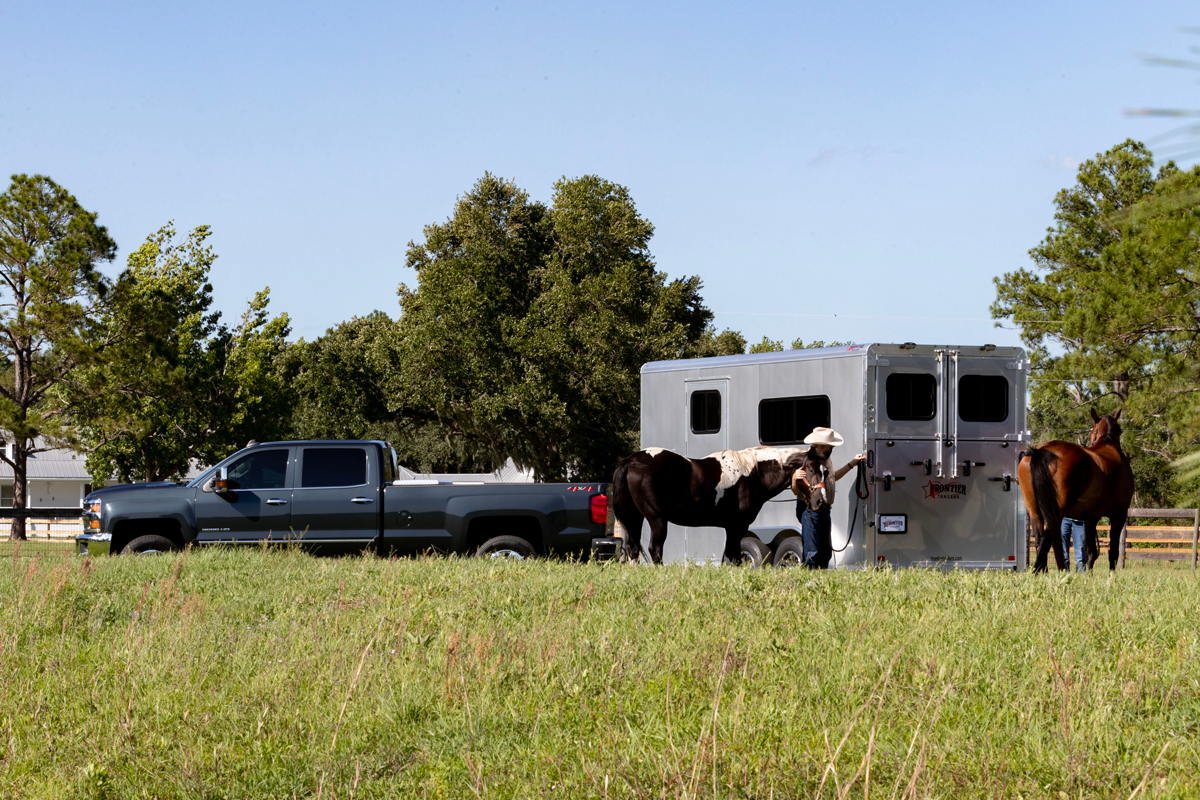 Ambassador 67" Lite BP Straight Load Series Grey Trailer In Field With Two Horses