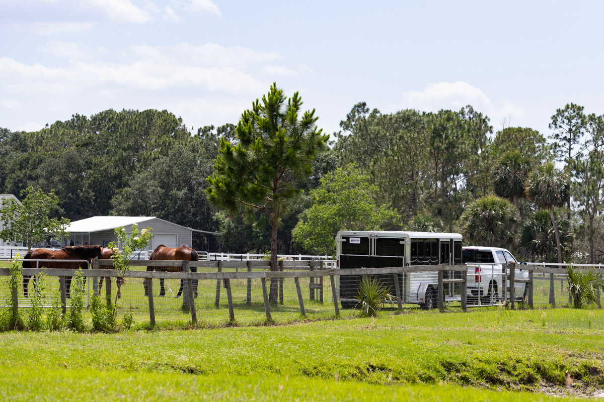 Black Stock LowPro DDFW Bumper Pull Series Being Pulled By White Truck Near Horses