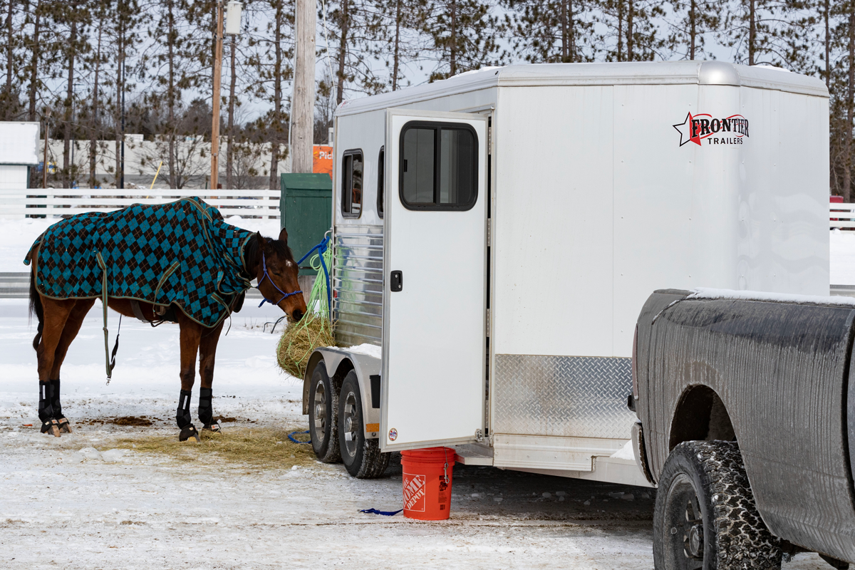 Strider 24" T-Bumper Pull Slant Load Series Door Open With Horse Eating Behind